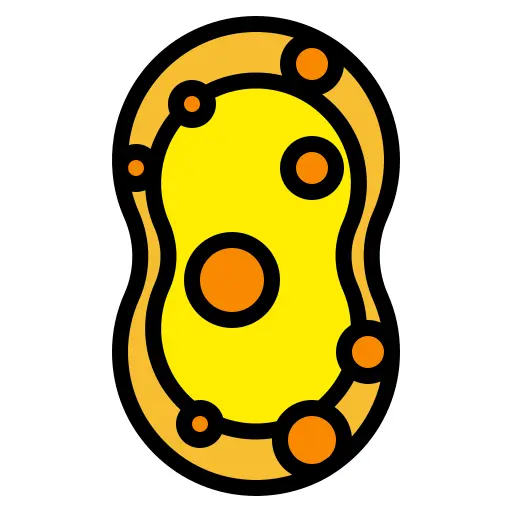 海绵