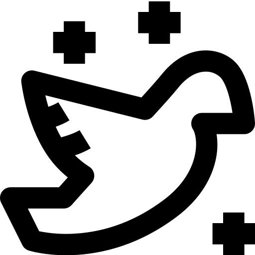 鸽子