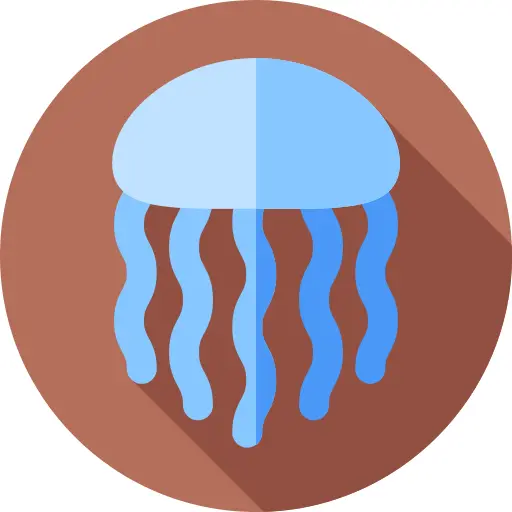 海蜇