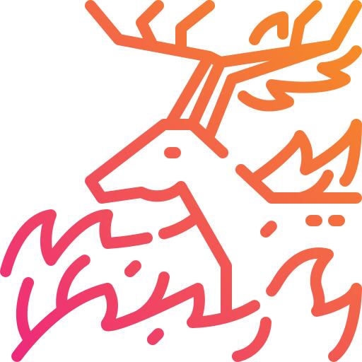 Wildfire