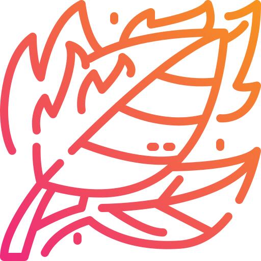 Wildfire