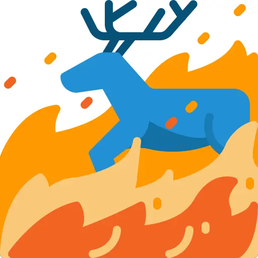 Wildfire