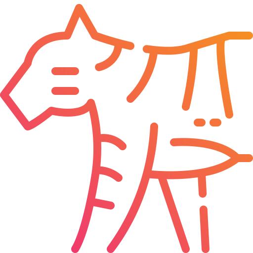虎