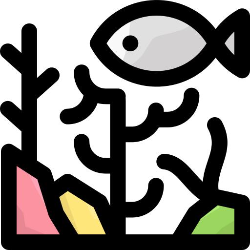 珊瑚礁