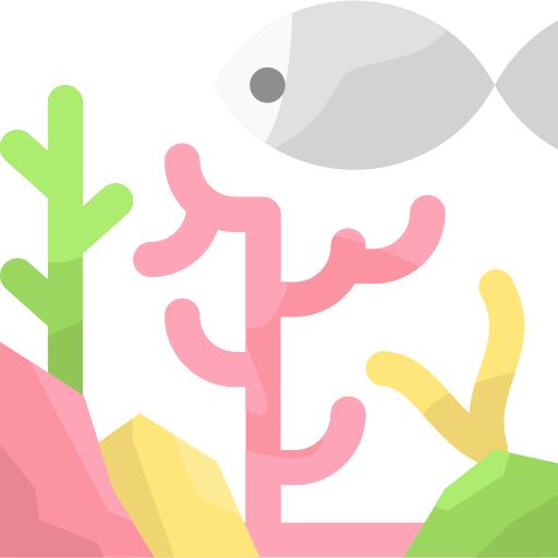 珊瑚礁