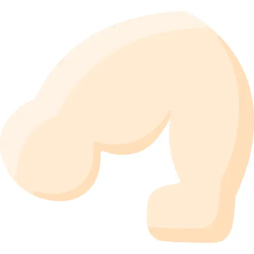 Arm