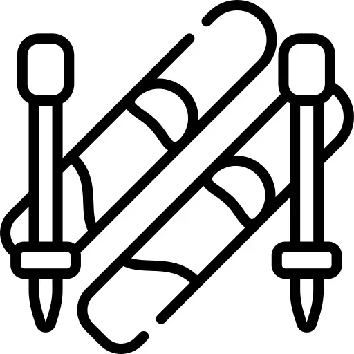 Ski