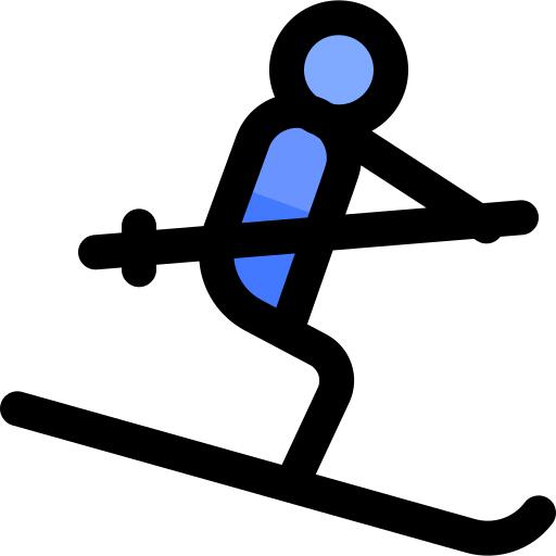 Ski