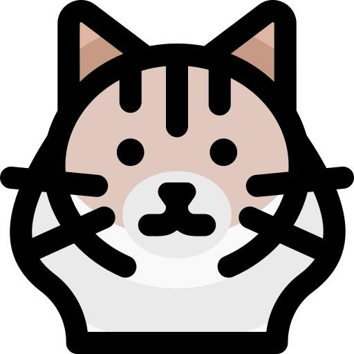 布娃娃猫