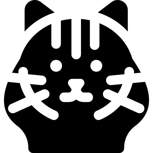布娃娃猫