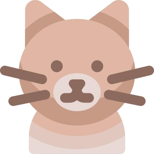 短毛猫