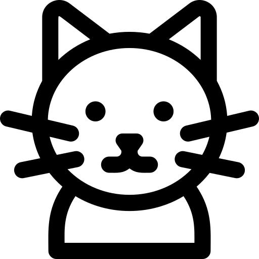 Shorthair cat