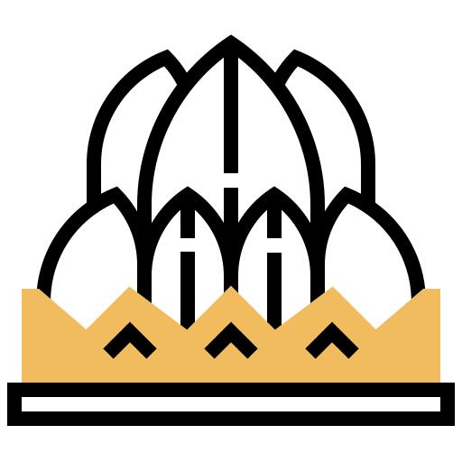 Lotus temple