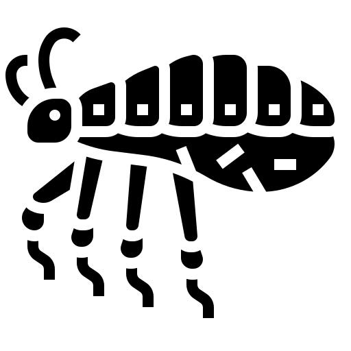 Insect