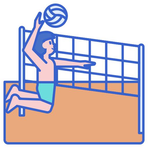 Volleyball
