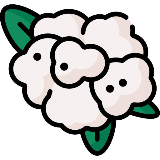 菜花