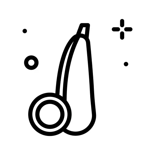 Zucchini