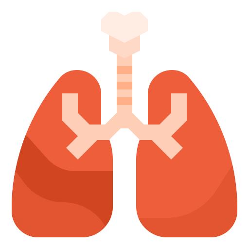 Lung