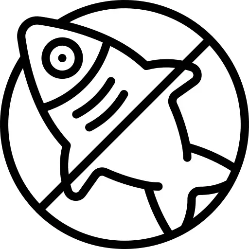 没有鱼