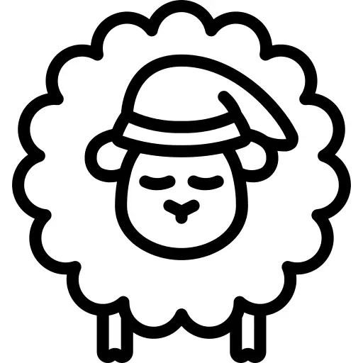 Sheep