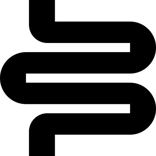 结肠