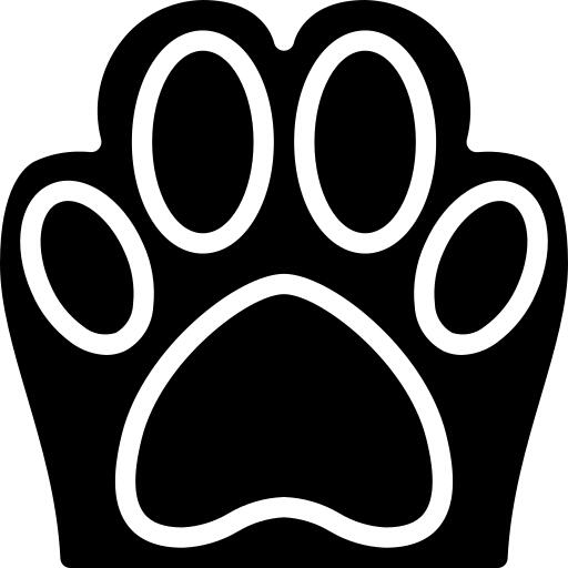 Foot