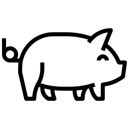 Pig