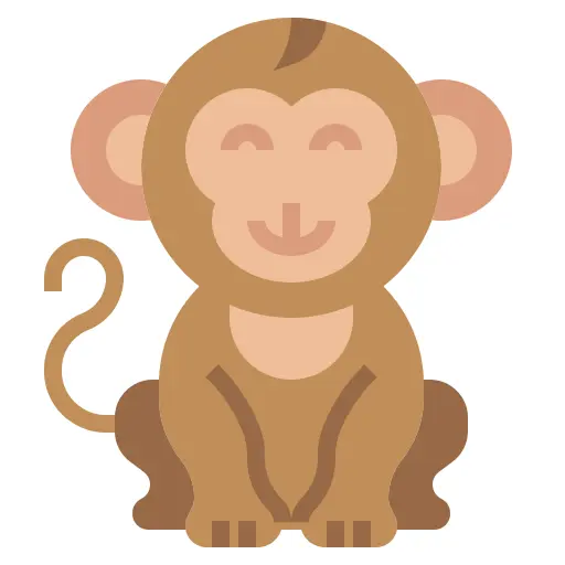 猴
