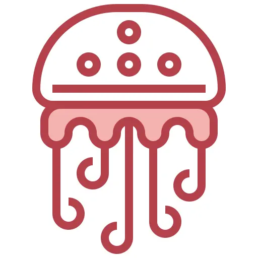 Jellyfish