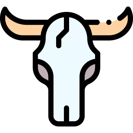 Bull skull