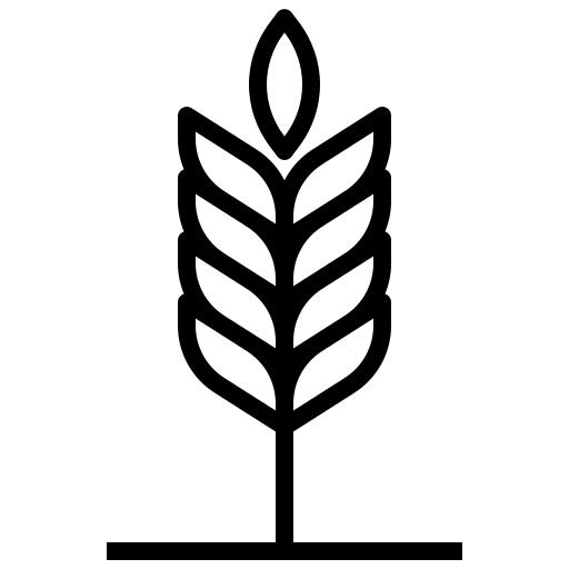 Barley