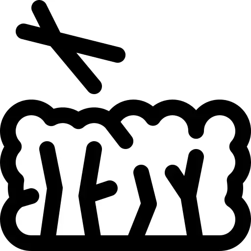 灌木