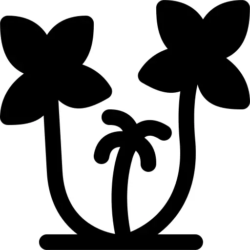 Palm trees
