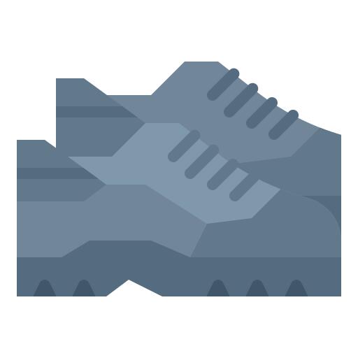Shoe
