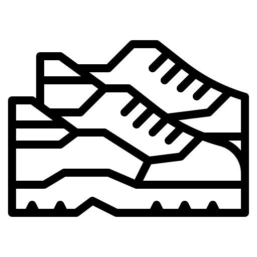 Shoe