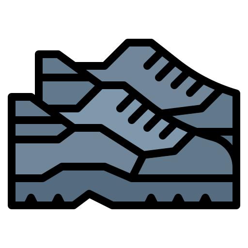 Shoe
