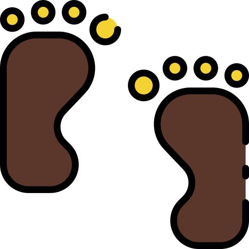 Footprint
