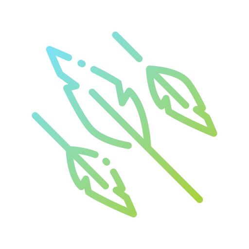Feathers