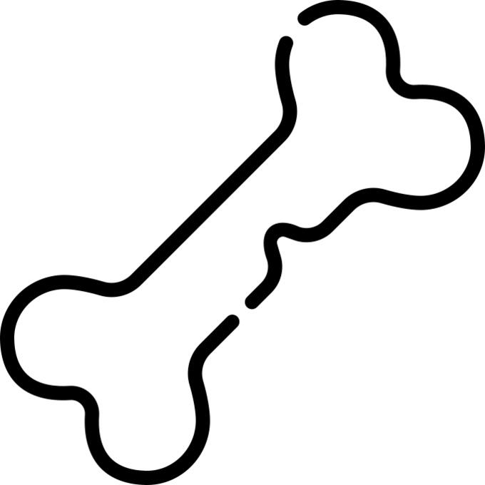 Bone