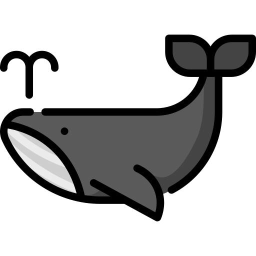 鲸