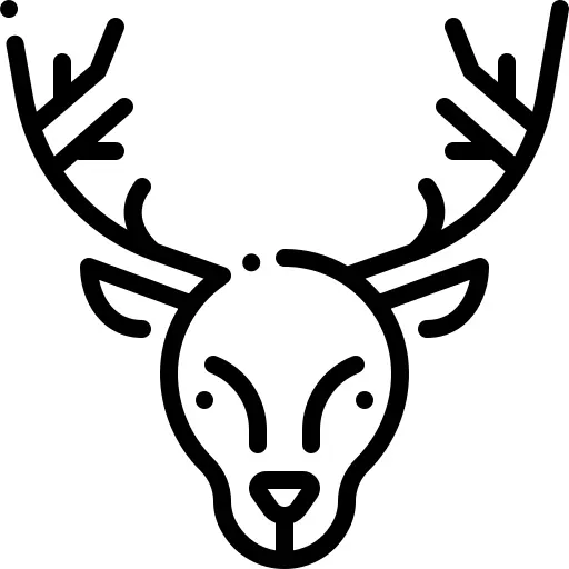 Christmas reindeer