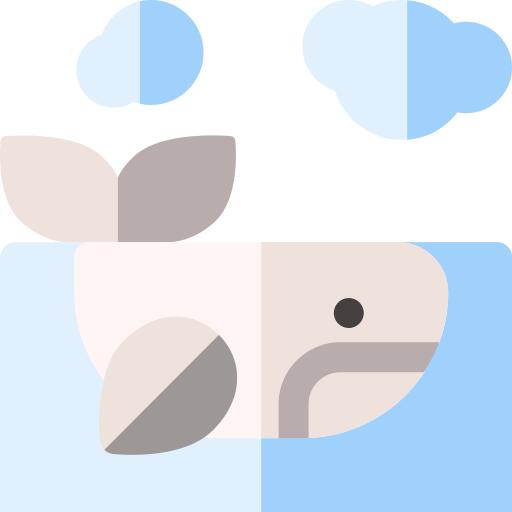 鲸