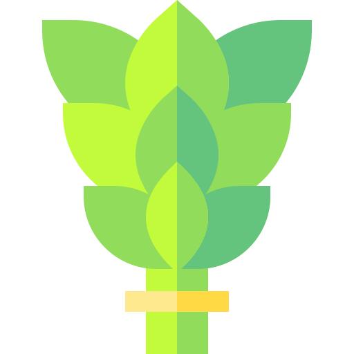 桦木拂尘