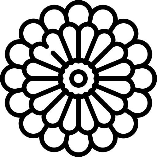 Chrysanthemum