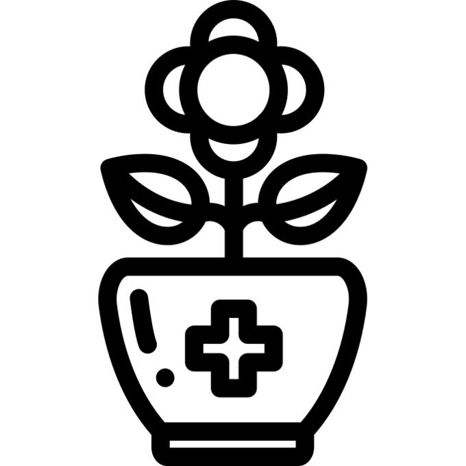 花盆