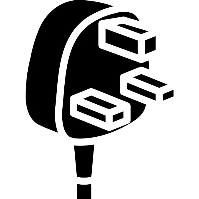 Plug