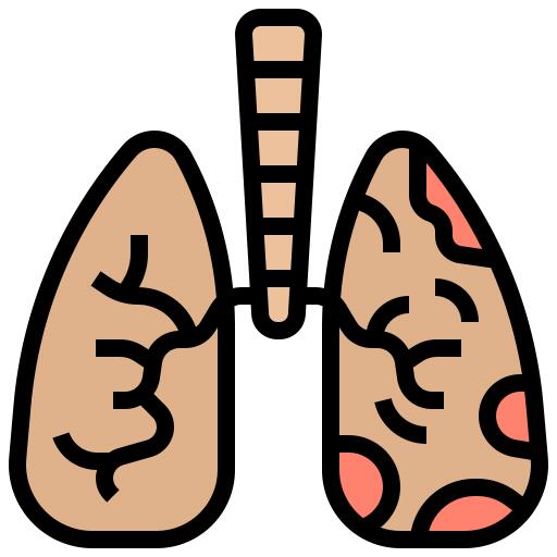 Lungs