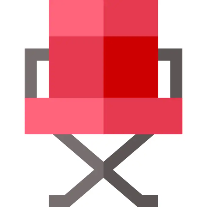 Director chair