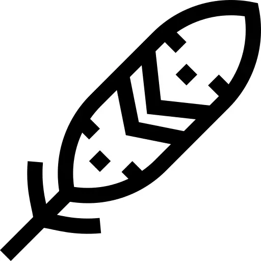 羽毛