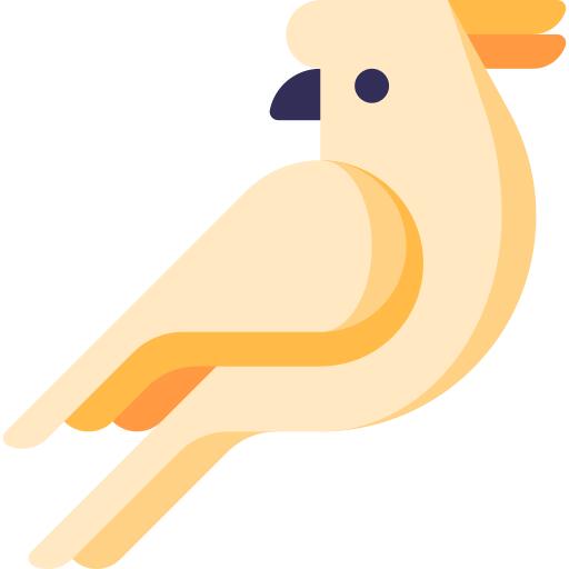 美冠鹦鹉